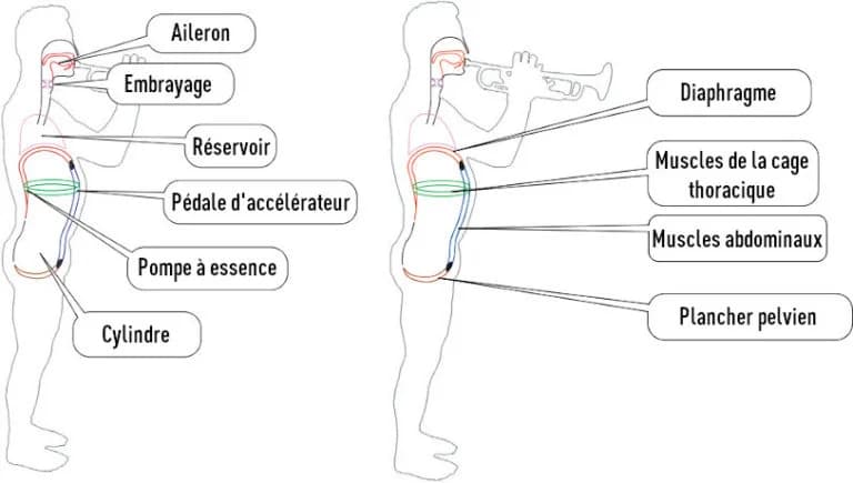 Exercices de Respiration et d'Articulation pour Débutants à la Trompette